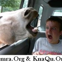 Kali