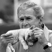 funny_bush